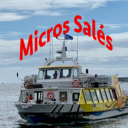 Micros Salés