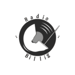 Radio Billig